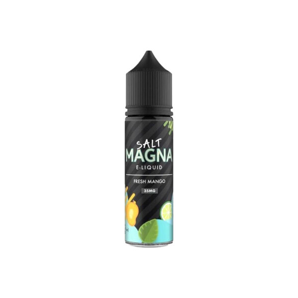 Magna Salt - Fresh Mango Mint 30ml