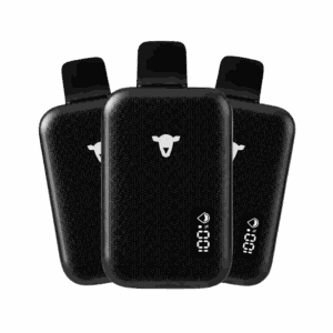 The Black Sheep - 25k 25000 Puffs
